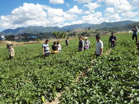 山東乳山市300名科技示范戶(hù)喜獲免費(fèi)化肥